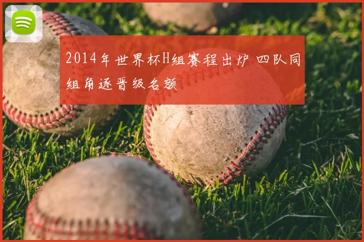 2014年世界杯H组赛程出炉 四队同组角逐晋级名额