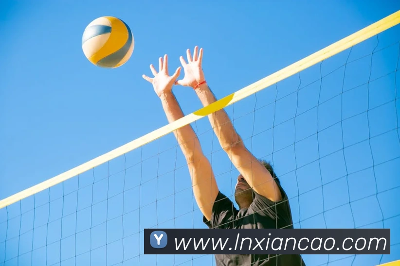 世界杯开户平台服务体系